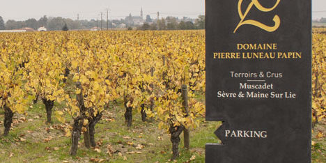 Panneau_Domaine_Luneau_Papin (1)