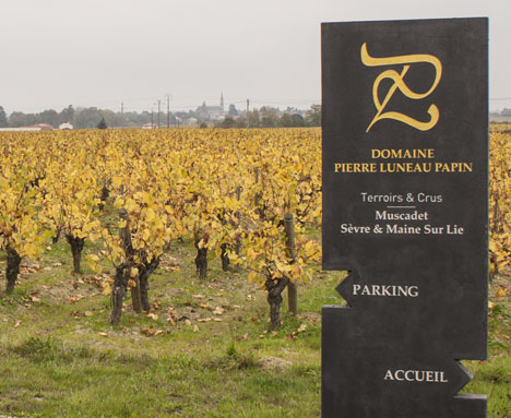 Panneau_Domaine_Luneau_Papin (1)