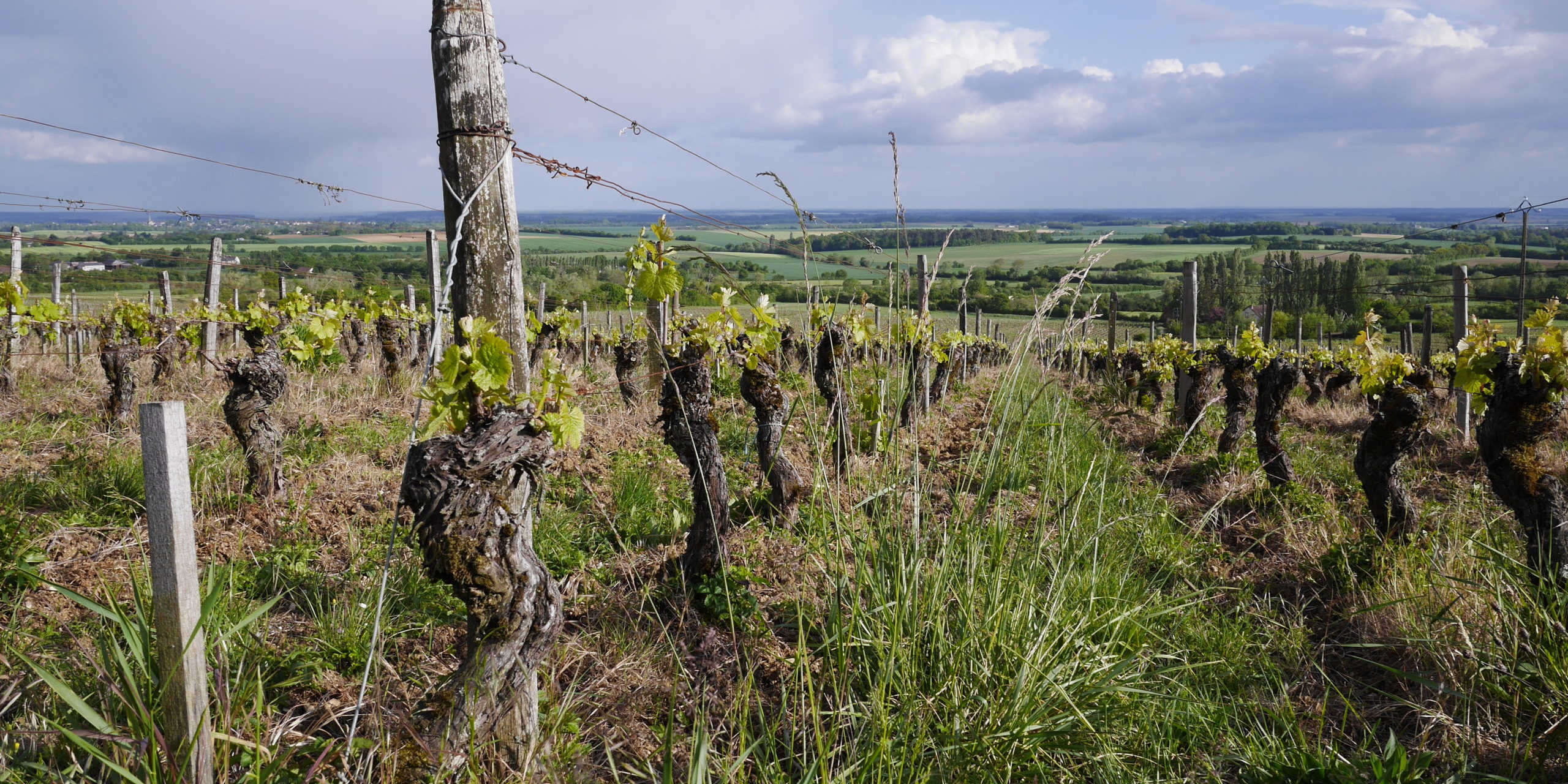 Domaine Philippe Gilbert