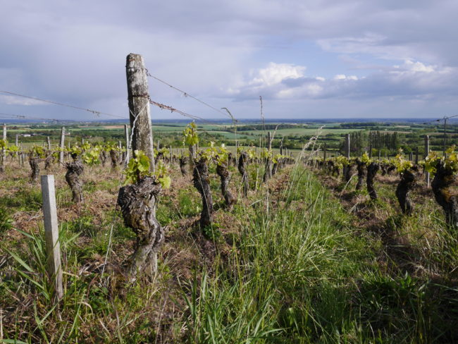Domaine Philippe Gilbert