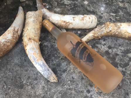despagne rose pale