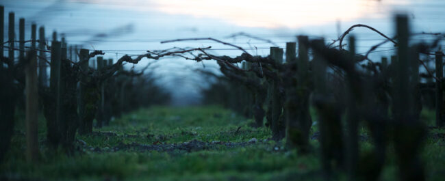 Terroir1