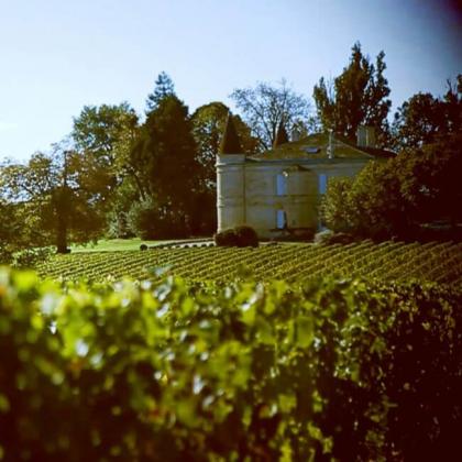 chateau_charmail_vignes
