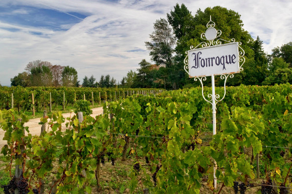 Fonroque 2