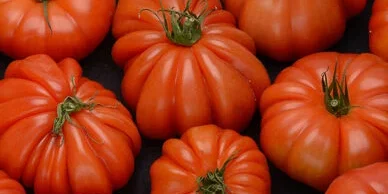 2601528000000_A_902002601528000000_S01