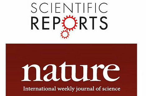 456eae_bdae27a78acc420c97082a332a2f13edmv2