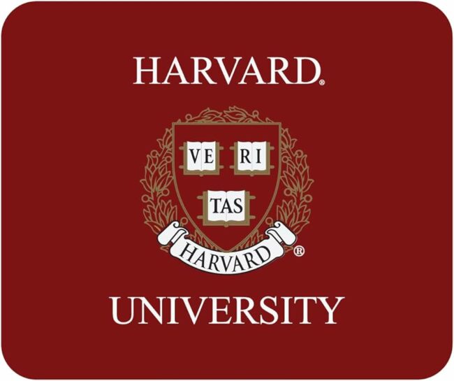 61eQ3mN0-YL._AC_UF894,1000_QL80_